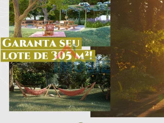 #42 - Área para Venda em Paulínia - SP - 3